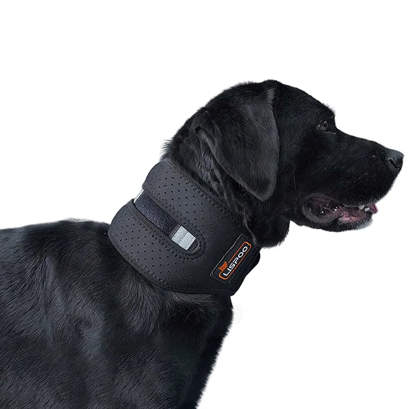 Lispoo Dog Neck Brace for Dogs Neck Pain LISPOO