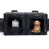 What carrier is best for cats?