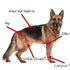 How can I help my dog with bad joints?