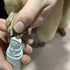 How do you prevent a dog's nail from getting infected?