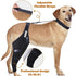 What are the benefits of a dog knee brace?