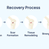 How Braces Support Dog Joint Recovery
