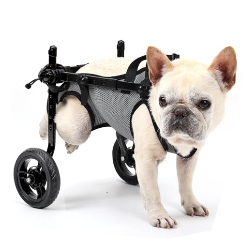 What are the disadvantages of dog wheelchairs?