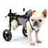 What are the disadvantages of dog wheelchairs?