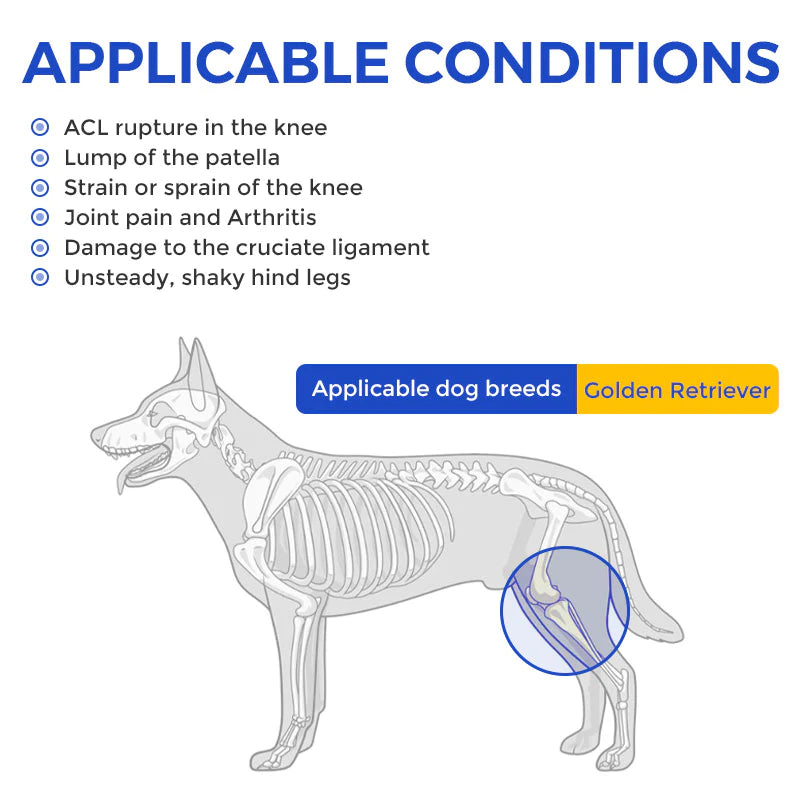 Do dog knee braces really work?