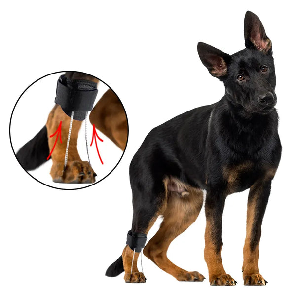 Lispoo Dog NO-Knuckling Training Brace