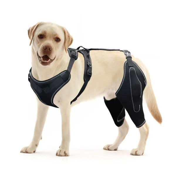 Lispoo Dog Knee Brace with Metal Splint Hinge Support For Double Leg