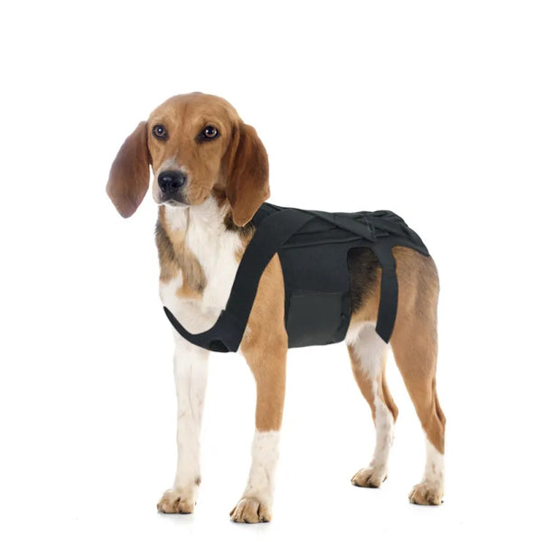 Lispoo Dog Back Brace for IVDD With Metal Splint