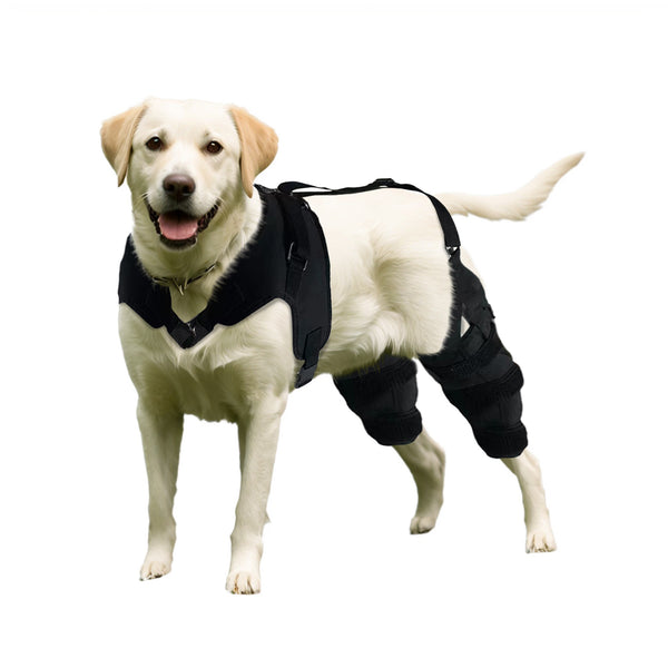 Lispoo Dog Knee Brace for Torn Acl With Double Metal Splint Hinged