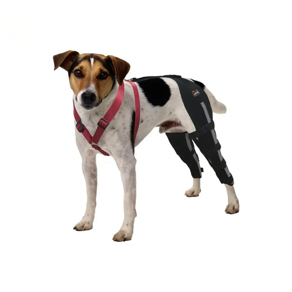 Lispoo Spring-Support Dog Knee Brace