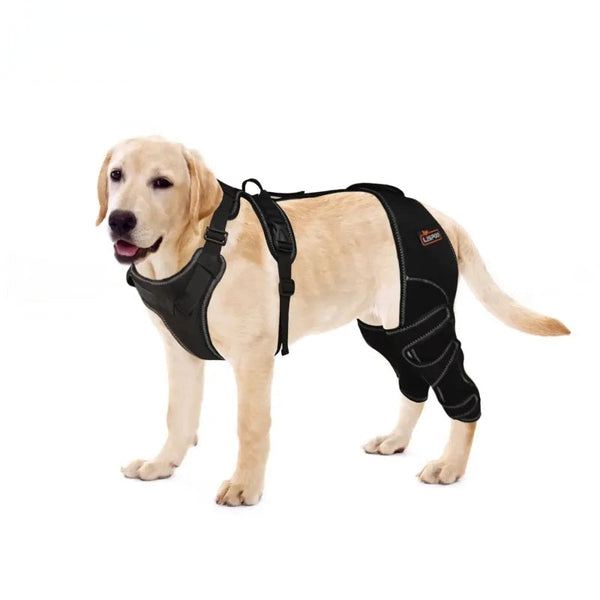 Dog Braces & Recovery Essentials | Lispoo Official Store – LISPOO