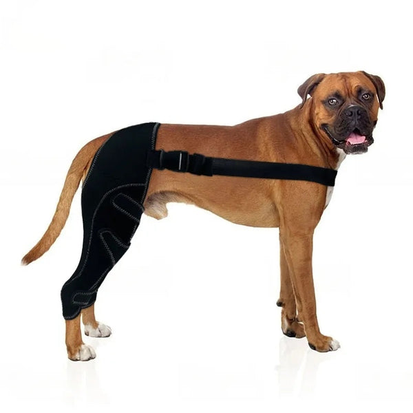 Lispoo Dog Leg Brace For Torn Acl With Adjustable Long Straps