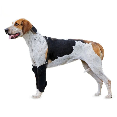 Lispoo Dog Wrist Brace for Sports Protection