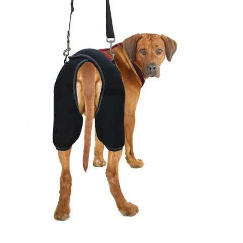 Lispoo Hip Support Brace For Dogs With Handle