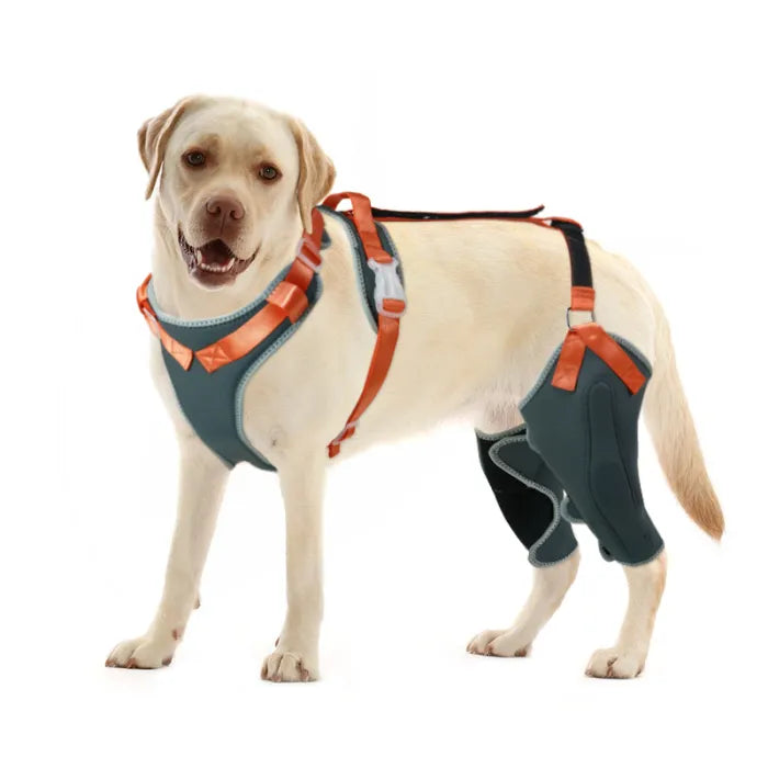 Lispoo Dog Knee Brace with Metal Splint Hinge Support For Double Leg ...
