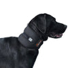 Lispoo Dog Neck Brace for Dogs Neck Pain