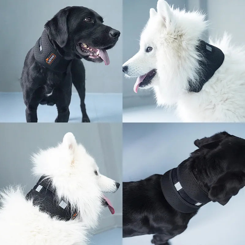 Dog neck best sale brace collar