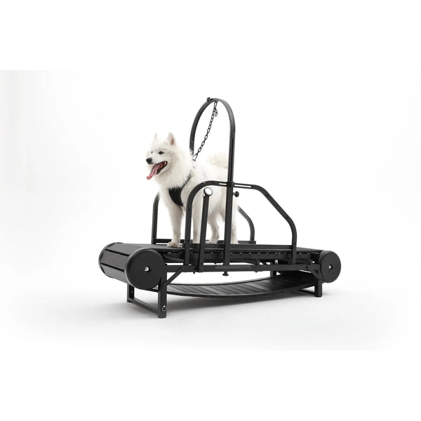 Lispoo Dog Treadmill For Large Dogs And Medium Dogs