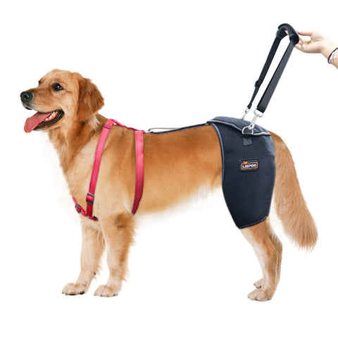 Lispoo Hip Support Brace For Dogs With Handle