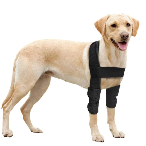 Lispoo Dog Elbow Dysplasia Brace