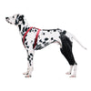 Lispoo Dog Knee Brace for Torn AclLeg