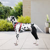 Lispoo Dog Knee Brace for Torn AclLeg