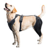 Lispoo Dog Knee Brace With Metal Splint Hinge Support For Single Leg