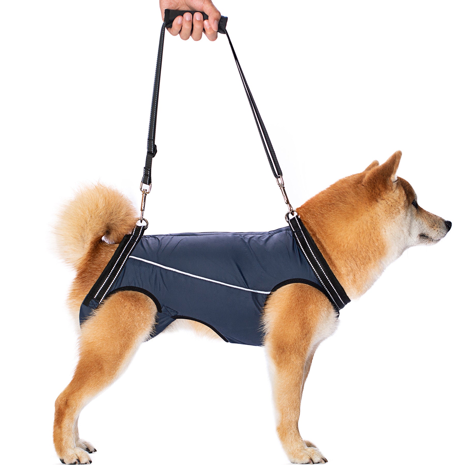 Full body lifting harness for dogs discount