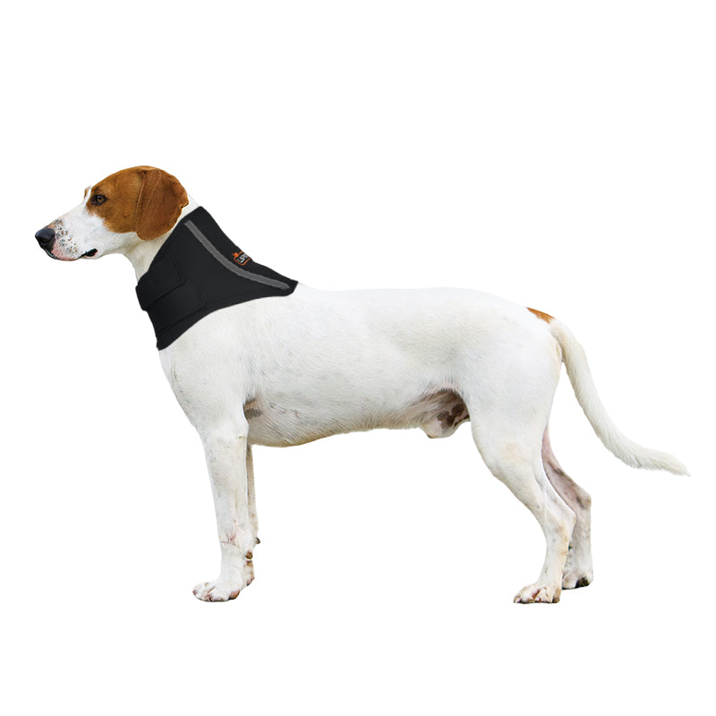 Dog neck hot sale brace collar