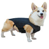Lispoo Hinged Canine Back Brace For Dog