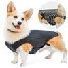 Lispoo Hinged Canine Back Brace For Dog