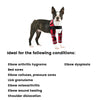Lispoo Hinged Dog Shoulder Support Brace