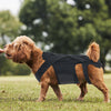 Lispoo Dog Back Brace for IVDD With Metal Splint