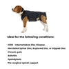 Lispoo Dog Back Brace for IVDD With Metal Splint
