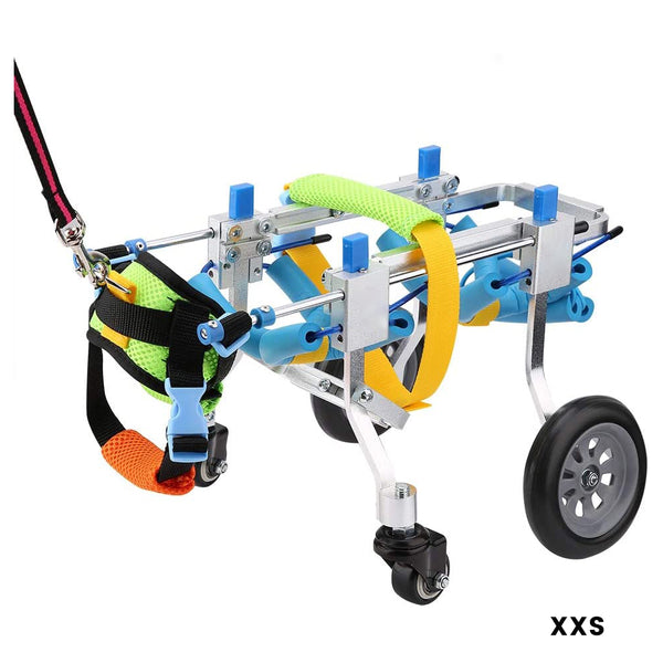 Lightweight Quad Wheelchair for Small Dogs