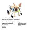 Lightweight Quad Wheelchair for Small Dogs