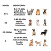 Lightweight Quad Wheelchair for Small Dogs