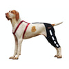 Lispoo Dog Knee Brace Double Leg For Luxating Patella