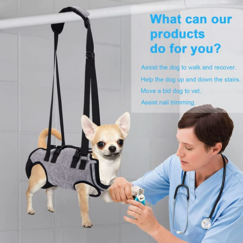 Lispoo Full Body Dog Lifting Harness With Storage Bag