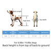Small Dog Wheelchairs for Back Leg Support