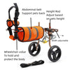 Small Dog Wheelchairs for Back Leg Support