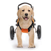 Small Dog Wheelchairs for Back Leg Support