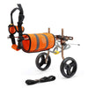 Small Dog Wheelchairs for Back Leg Support