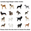 Small Dog Wheelchairs for Back Leg Support