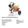 Small Dog Wheelchairs for Back Leg Support